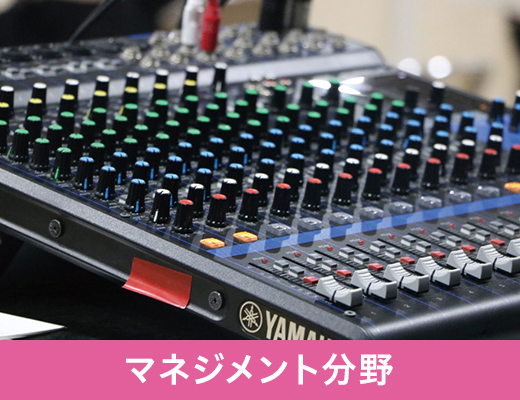マネジメント分野